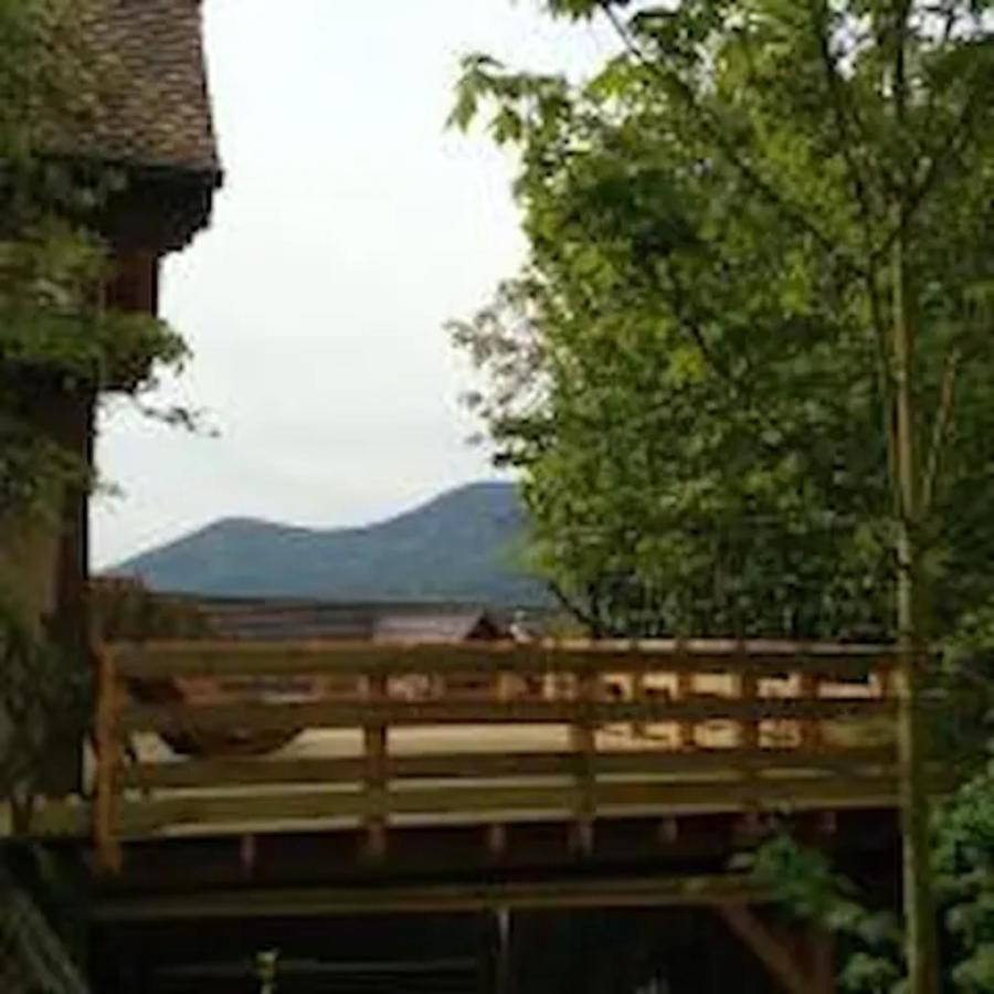 Gite Les Cerisiers Triembach-au-Val Exterior foto