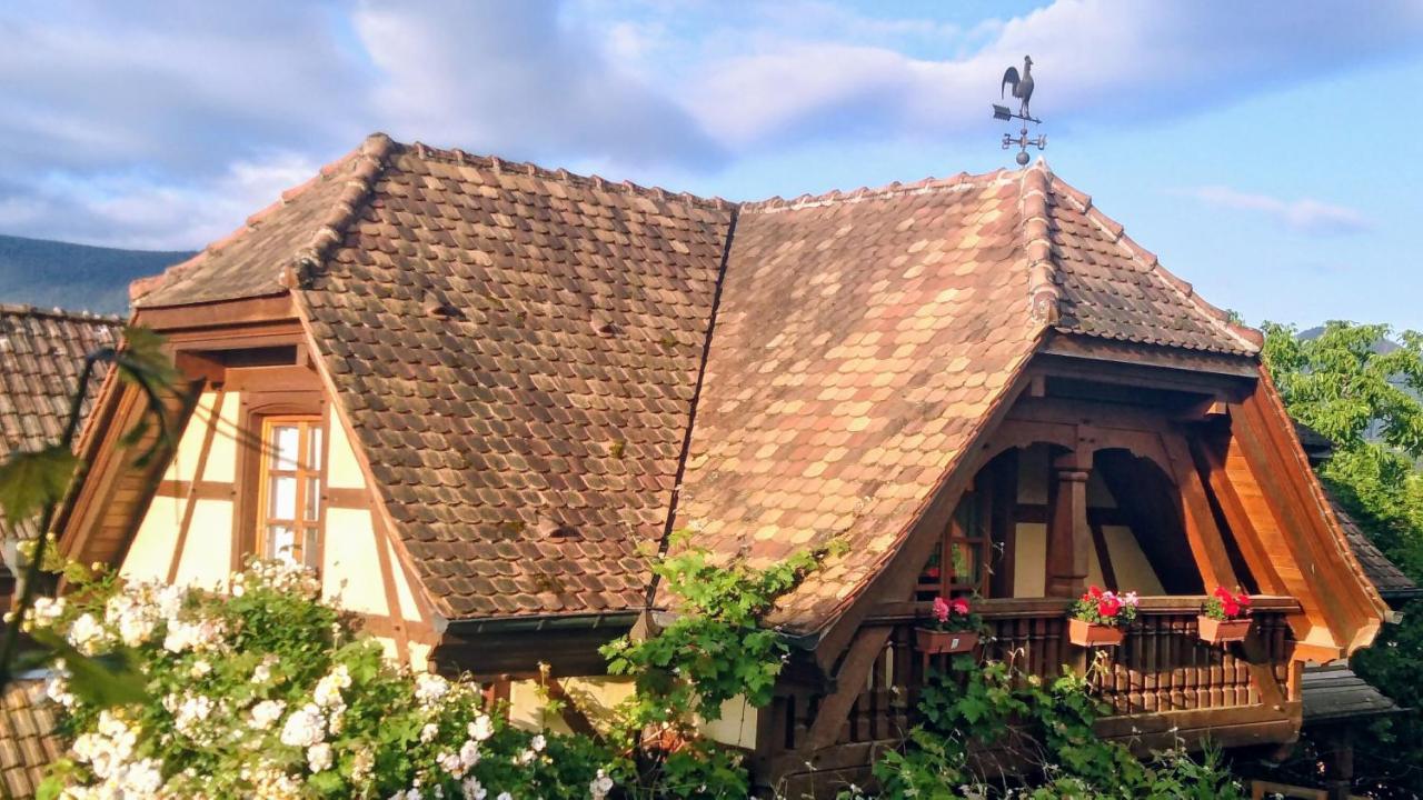 Gite Les Cerisiers Triembach-au-Val Exterior foto