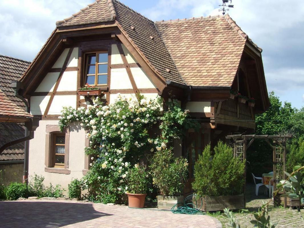Gite Les Cerisiers Triembach-au-Val Exterior foto